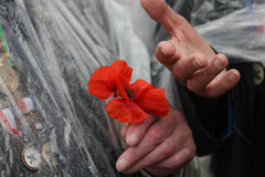 Читатели разгромили антироссийскую статью Daily Mail