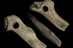 Археологи нашли под Нижним Тагилом уникальный артефакт, которому 8 тысяч лет