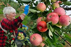 Россия ввела запрет на ввоз овощей и фруктов из Польши