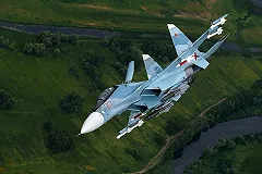 Версию о птице в двигателе упавшего в Сирии Су-30 поставили под сомнение