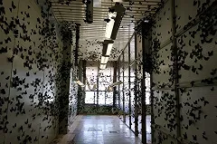 Биеннале в Екатеринбурге посетили уже более 100 тысяч человек