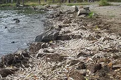 Свердловская область стала аутсайдером по расходам на «Чистую воду»