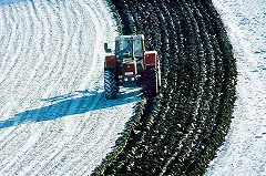В Тульской области введен режим ЧС из-за гибели урожая