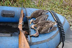 Охотничьи туры для интуристов появились в Свердловской области