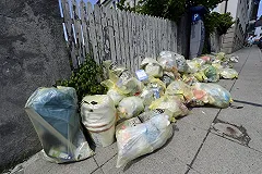 Эксперты объяснили, почему раздельный сбор — это плохо