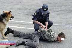 Уроженец Ухты пытался сбыть 17 килограммов наркотиков в Екатеринбурге