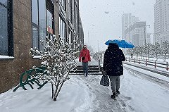 Синоптики сообщили, ждать ли настоящей зимы и снега свердловчанам в декабре