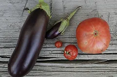 Ученые: Через 100 лет люди будут скачивать еду по Интернету