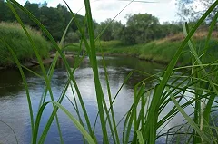 В Серове подростка унесло течением реки, мальчик погиб