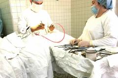 Свердловские хирурги спасли женщину со свёрнутой шеей