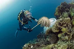 Пропавший в Таиланде российский турист провел сутки в море