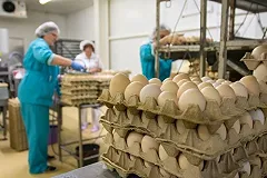 Яйца в магазинах Екатеринбурга опять подорожали