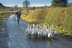 Депутат ЗакСО посмеялся над предложением коллеги из Госдумы чипировать приезжих