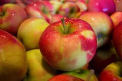 В понедельник в православных храмах можно будет освятить яблоки