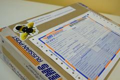 В Свердловскую область доставили пчёл по почте