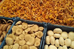 Замена мяса грибами снижает риск смерти — сообщается в новом исследовании