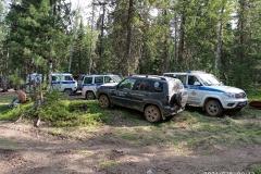 В Свердловской области в лесу бесследно пропала женщина