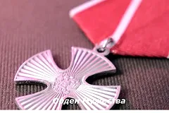 Матери двух погибших участников СВО из Асбеста получили выплаты за ордена Мужества своих сыновей