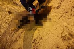В Екатеринбурге во дворе дома нашли тело девушки