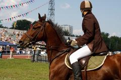 Екатеринбургская школьница выкупила полицейского коня, списанного на убой