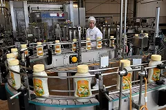 Российские учёные создали инновационные майонезы, которые сделают еду полезнее