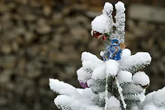 Россиянам рассказали, какая премия по итогам года у них могла бы быть