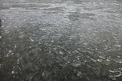 На Шарташе утонул мужчина