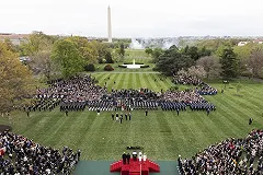 Сажающие дуб Трамп и Макрон превратились в мем