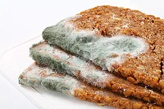 Кормившая детей на помойке семья не стояла на учете и считалась нормальной. ФОТО