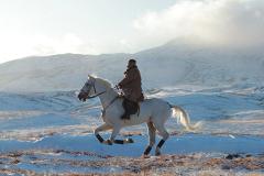Ким Чен Ын «обскакал» российского лидера на белом коне