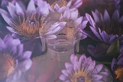 Назван способ накопить на достойную пенсию в России