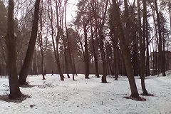 Пропавшую на новогоднем корпоративе в Екатеринбурге женщину нашли мертвой