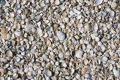 У постпреда Крыма при Путине сдали нервы: Ситуация с «Нордом» вопиющая