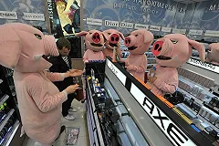 Блогеры проверили «Кировский» и собрали в нем две тележки просрочки