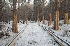 Зелёную рощу полностью закроют для посетителей с 1 апреля