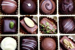 Ученые в Приморье создали шоколад с добавками из морских звезд и ежей