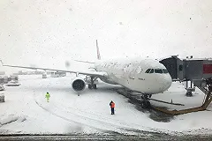 При падении самолета под Бишкеком погибли жители дачного поселка