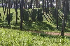 Варламов обозвал «глупым» депутата Ионина, вступившегося за уральцев