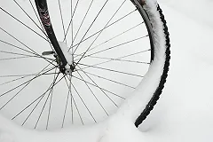 «Вы покупаете слишком дорогие велосипеды и чересчур боитесь холода»