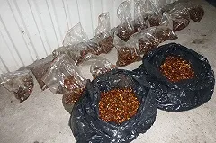 Янтарь в бензине