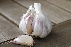 Учёные обнаружили ещё одну причину полюбить чеснок