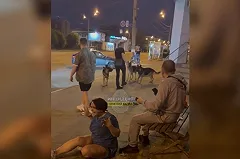 В Сети появились страшные видео с собачником, натравливавшим на тагильчан своих овчарок