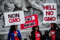 В США опубликовали официальный доклад о безвредности ГМО