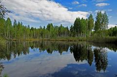 Свердловскую область назвали регионом с худшей экологией в России