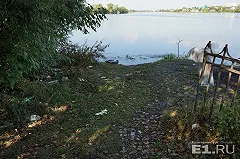 Изуродованный труп женщины найден в Арамиле