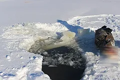 Убийцы и насильники женщины в Первоуральске пошли под суд