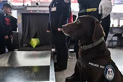 В Екатеринбурге задержали получателя крупных партий наркотиков из Китая