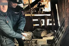 На Урале пьяный убийца добил жертву из соображений «гуманизма»