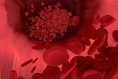 Терапия «старости»: найден белок, омолаживающий дряхлую кровь