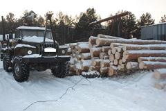 Свердловские полицейские направили в суд дело о контрабанде леса на 63 миллиона рублей